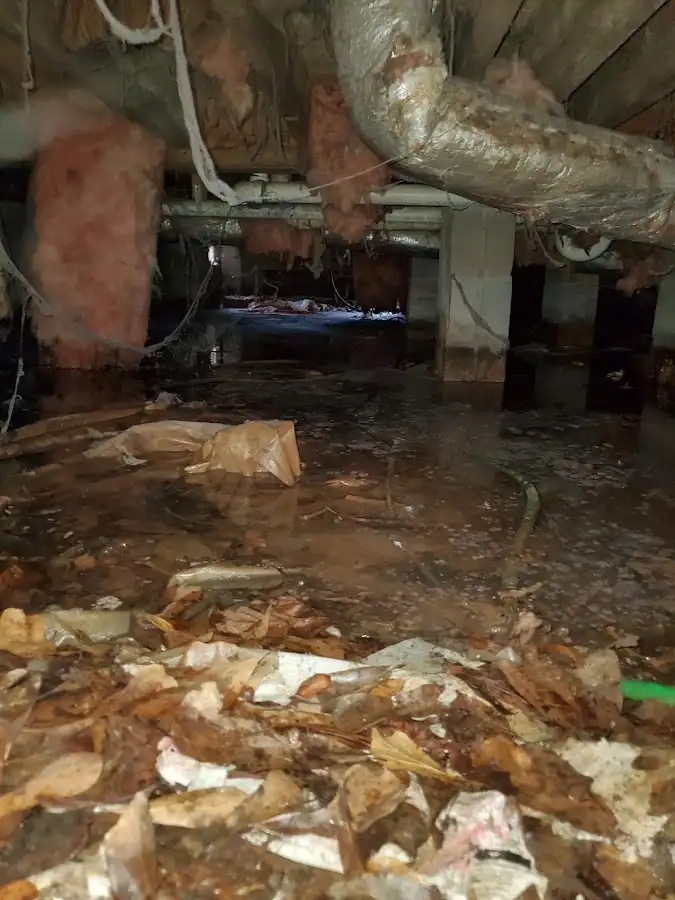 Crawl space flood assessment for Leak Detection & Repair in Montevallo