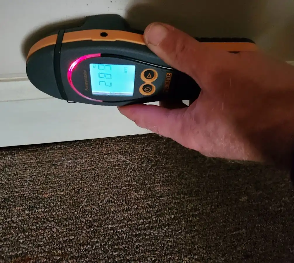 Moisture detection at baseboard during Sewage Cleanup & Sanitation in Montevallo